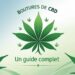 boutures de CBD Un guide complet